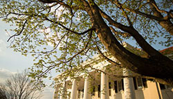 Student Success and Well-being